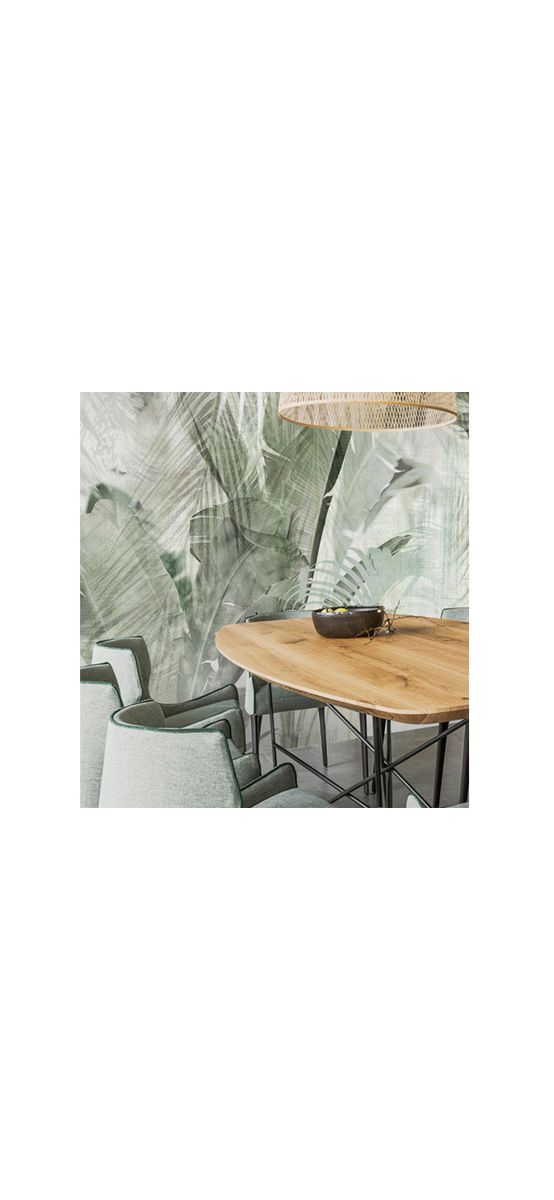 Fototapet frunze verzi, Komar Botanical Boho, pe suport vlies, 400x250 cm