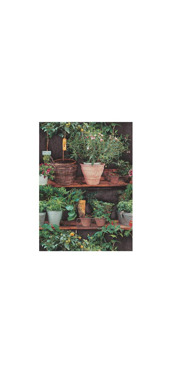 Tapet floral My Garden, Erismann, Profi Selection 638607