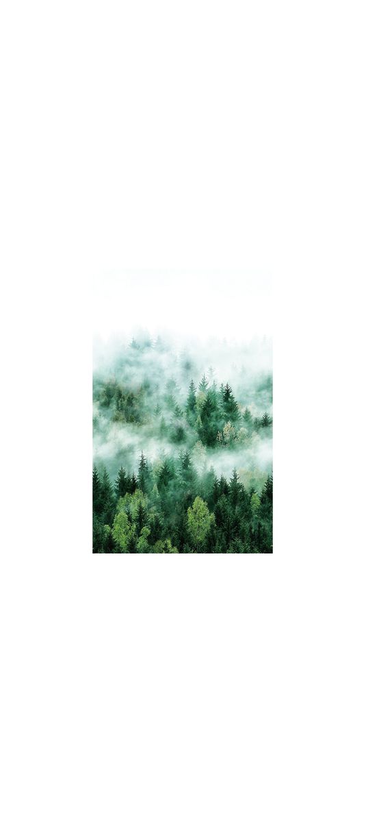 Fototapet peisaj pădure Nature, Marburg 47267, pe suport vlies, 159x270 cm