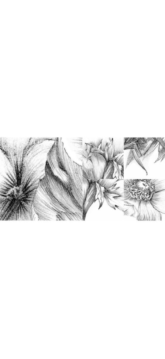 Fototapet floral Embroidery, Komar. model grafic, 184x248 cm